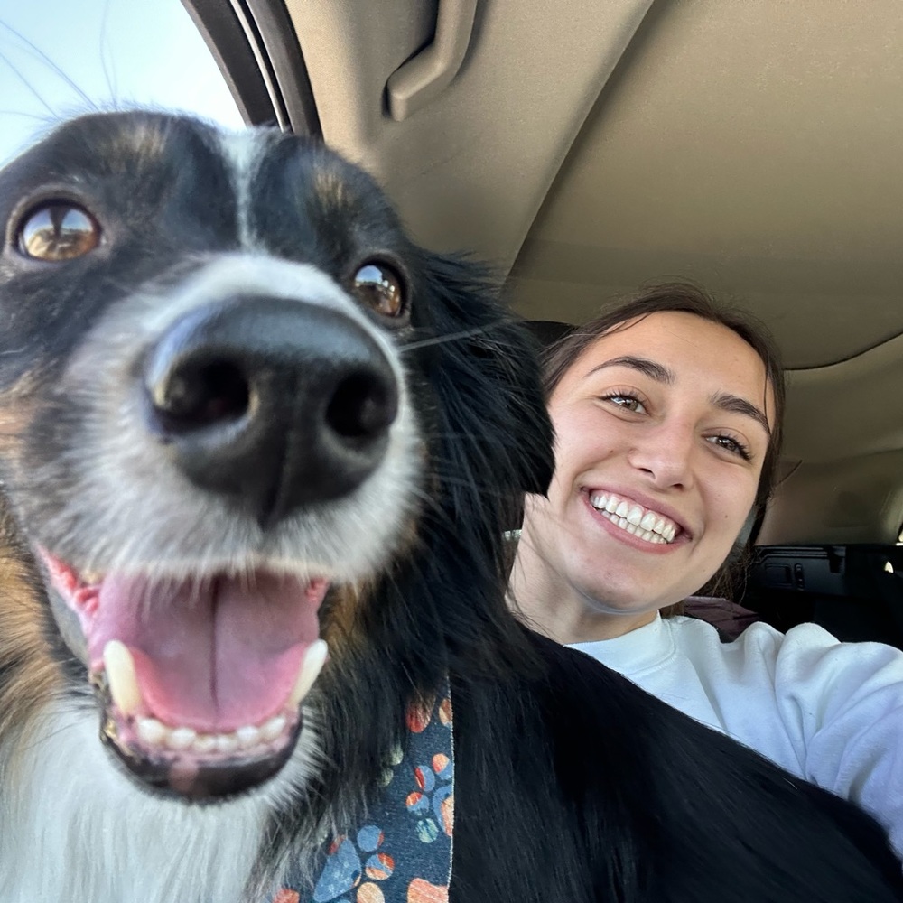 Meet your Posher, Bella